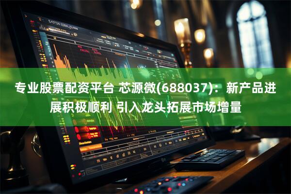 专业股票配资平台 芯源微(688037)：新产品进展积极顺利 引入龙头拓展市场增量