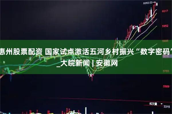 惠州股票配资 国家试点激活五河乡村振兴“数字密码” _大皖新闻 | 安徽网